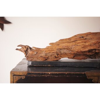 自然木/古木 大魚　X403 