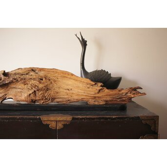 自然木/古木 大魚　X403 