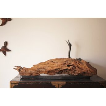 自然木/古木 大魚　X403 