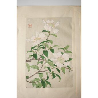 河原崎奨堂 木版画 芸艸堂版【紫陽花/花菖蒲/萩/山茶花】4枚　Z401 