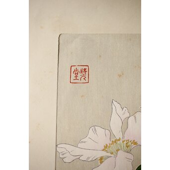 河原崎奨堂 木版画 芸艸堂版【紫陽花/花菖蒲/萩/山茶花】4枚　Z401 