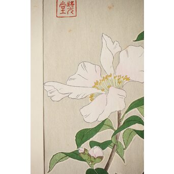 河原崎奨堂 木版画 芸艸堂版【紫陽花/花菖蒲/萩/山茶花】4枚　Z401 