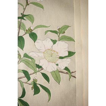 河原崎奨堂 木版画 芸艸堂版【紫陽花/花菖蒲/萩/山茶花】4枚　Z401 