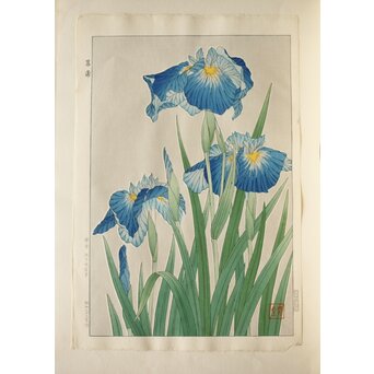 河原崎奨堂 木版画 芸艸堂版【紫陽花/花菖蒲/萩/山茶花】4枚　Z401 