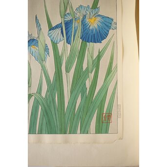 河原崎奨堂 木版画 芸艸堂版【紫陽花/花菖蒲/萩/山茶花】4枚　Z401 