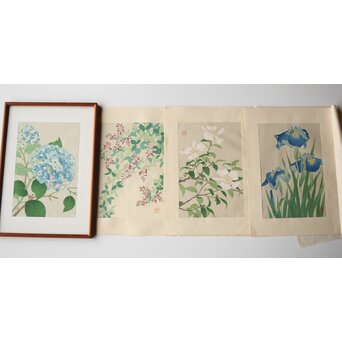 河原崎奨堂 木版画 芸艸堂版【紫陽花/花菖蒲/萩/山茶花】4枚　Z401