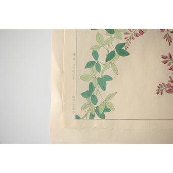 河原崎奨堂 木版画 芸艸堂版【紫陽花/花菖蒲/萩/山茶花】4枚　Z401 