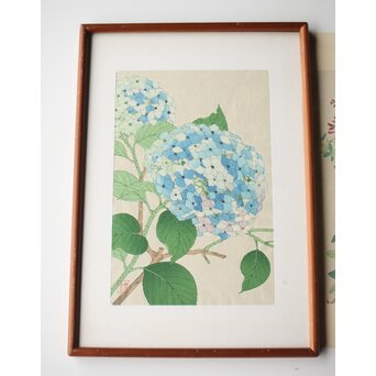 河原崎奨堂 木版画 芸艸堂版【紫陽花/花菖蒲/萩/山茶花】4枚　Z401 