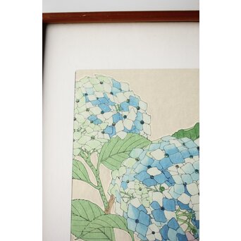河原崎奨堂 木版画 芸艸堂版【紫陽花/花菖蒲/萩/山茶花】4枚　Z401 