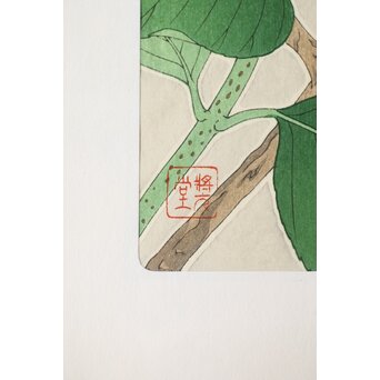 河原崎奨堂 木版画 芸艸堂版【紫陽花/花菖蒲/萩/山茶花】4枚　Z401 