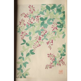 河原崎奨堂 木版画 芸艸堂版【紫陽花/花菖蒲/萩/山茶花】4枚　Z401 
