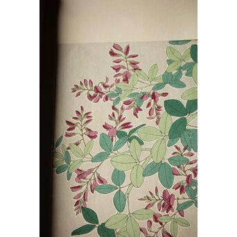 河原崎奨堂 木版画 芸艸堂版【紫陽花/花菖蒲/萩/山茶花】4枚　Z401 