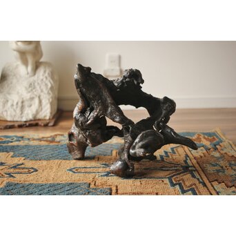 天然木/自然木 根木 花生見立　X404 