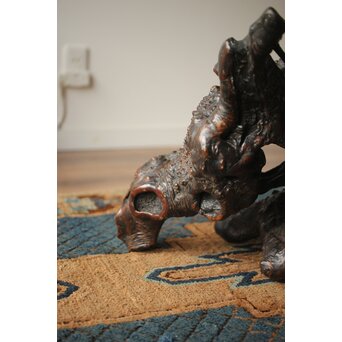 天然木/自然木 根木 花生見立　X404 