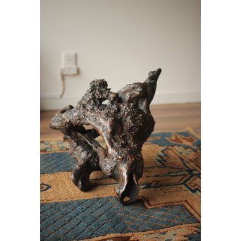 天然木/自然木 根木 花生見立　X404 