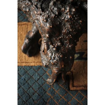 天然木/自然木 根木 花生見立　X404 