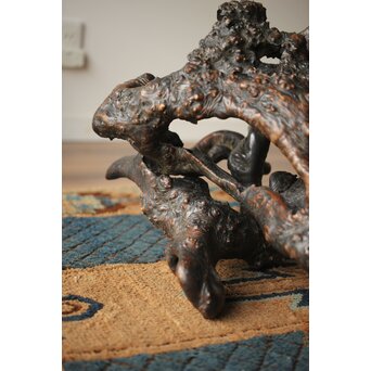 天然木/自然木 根木 花生見立　X404 