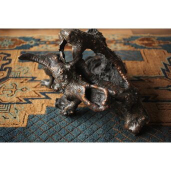 天然木/自然木 根木 花生見立　X404 