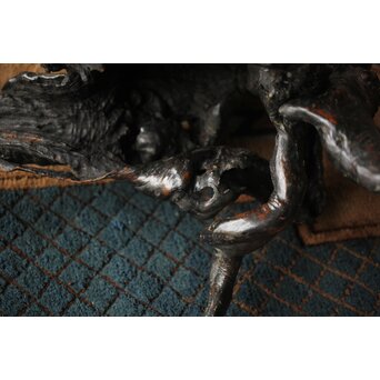 天然木/自然木 根木 花生見立　X404 