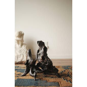 天然木/自然木 根木 花生見立　X404 