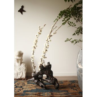 天然木/自然木 根木 花生見立　X404 