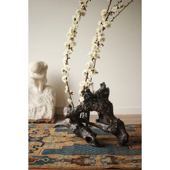 天然木/自然木 根木 花生見立　X404 