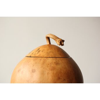 音羽山六 弥竹林造 瓢水指 共箱　U326 