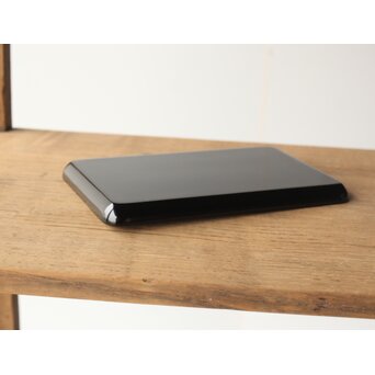 輪島塗 前志芸男 沈金双鶴之図 盆　Q329 