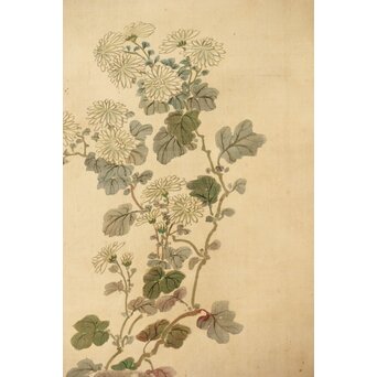 倣 駒井源琦【仔犬図】絹本軸装　Z403 