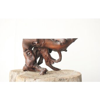 根木 変木 自然木 盆栽卓　X410 