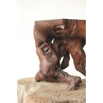 根木 変木 自然木 盆栽卓　X410 