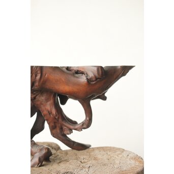 根木 変木 自然木 盆栽卓　X410 