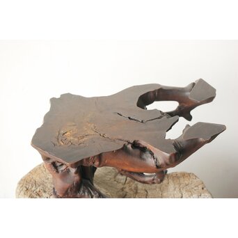 根木 変木 自然木 盆栽卓　X410 