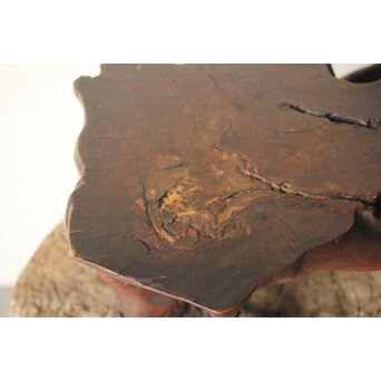 根木 変木 自然木 盆栽卓　X410 