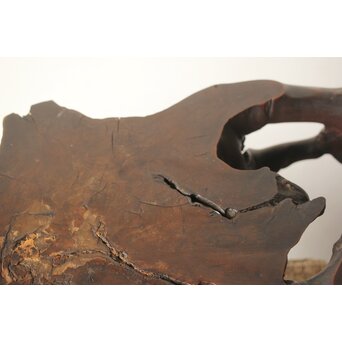 根木 変木 自然木 盆栽卓　X410 