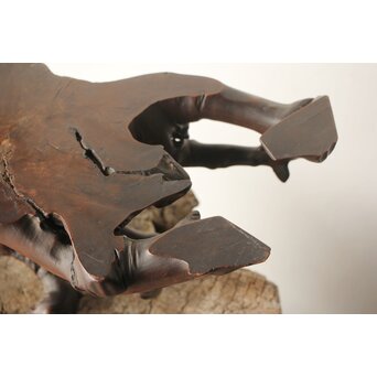 根木 変木 自然木 盆栽卓　X410 