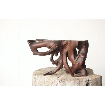 根木 変木 自然木 盆栽卓　X410