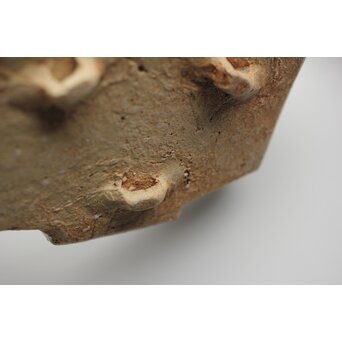 坪島土平 いせ廣永窯 織部向付 六客　P347 