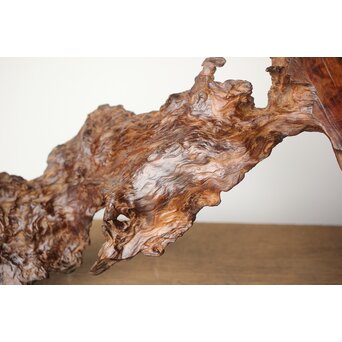 根木 変木 自然木 盆栽卓　X412 