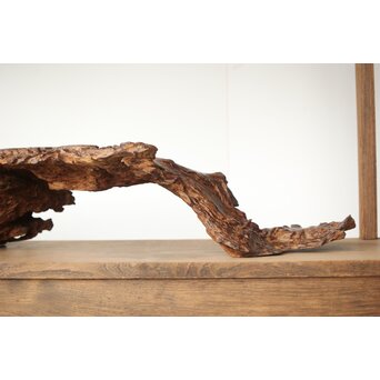 根木 変木 自然木 盆栽卓　X412 