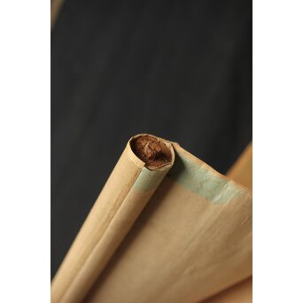 青柳琴僊 虎図 紙本水墨掛軸　Z416 