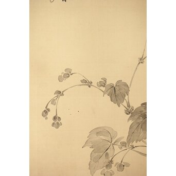 藤堂高潔 伯爵 草花図 絹本水墨掛軸　Z417 