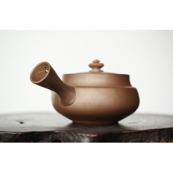 温故焼 河野忠治/大雅作 急須　P362 