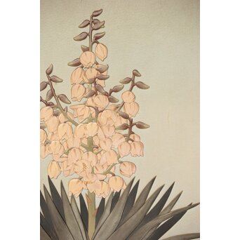 篠原如雪 木彫彩色南国花鳥図屏風　X414 