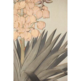 篠原如雪 木彫彩色南国花鳥図屏風　X414 