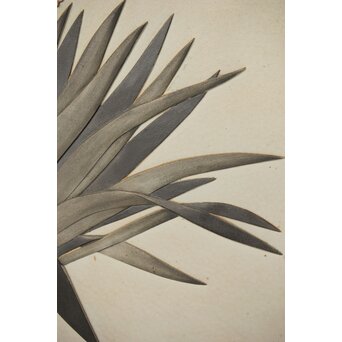 篠原如雪 木彫彩色南国花鳥図屏風　X414 