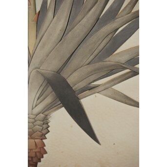 篠原如雪 木彫彩色南国花鳥図屏風　X414 