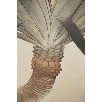 篠原如雪 木彫彩色南国花鳥図屏風　X414 