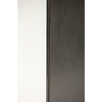 篠原如雪 木彫彩色南国花鳥図屏風　X414 