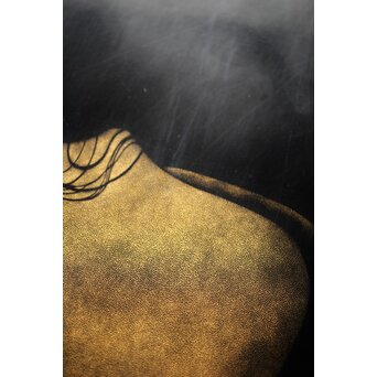 鳥毛清 漆工芸 沈金額【美人画】Q336 